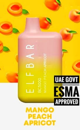 Elf Bar BC5000 Disposable Vape Kit 5000 Puffs Mango peach apricot